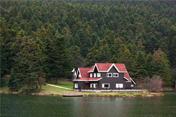 Lake House Living :: The Online Community for the Lakefront Living